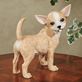 Delighted Chihuahua Dog Adorable Resin Animal Table Sculpture Figurine Thumbnail Image