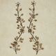 Bellissa Vining Floral Branch Champagne Bronze with Silver Details Metal Wall Art Set Thumbnail Image