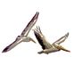 Pelican in Flight Indoor Outdoor Metal Wall Sculpture Thumbnail Image