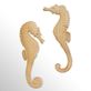Natural Seahorse Handcrafted Wood Wall Art Thumbnail Image