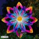 Floret Glow Solar Powered Fiber Optic Lighted Outdoor Garden Wind Spinner Stake Thumbnail Image