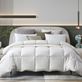 Farm to Home White Hypoallergenic Organic Cotton Down Comforter Thumbnail Image