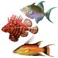 Fish of the Sea Handcrafted Dimensional Indoor Outdoor Wall Art Thumbnail Image