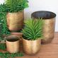Katya Antique Brass Metal Indoor Outdoor Planter Pot Set of 4 Thumbnail Image