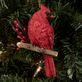 Christmas Cardinal Ornament with Gift Box from Roman Thumbnail Image