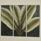Tranquil Tropics Triptych Indoor Outdoor Palm Leaf Metal Wall Art Set Thumbnail Image