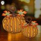 LED Lighted Indoor Outdoor Metal Fall Pumpkin Set Thumbnail Image