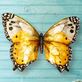 Gold Monarch Butterfly Indoor Outdoor Capiz Shell and Metal Wall Art Thumbnail Image