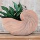 Shell Treasures Large Nautilus Shell Shaped Decorative Planter Vase Thumbnail Image