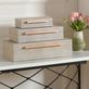 Camilla Ivory Faux Leather Decorative Storage Box Set of 3 by Norman Wyatt Thumbnail Image