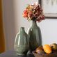 Arden Green Ceramic Table Vase Set by David Lee Thumbnail Image