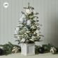 Snowy LED Lighted Flocked Pine Tree in Planter - Approx 2 Feet Tall Overall Thumbnail Image