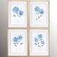 Lynnswood Handpainted Blue Hydrangea Floral Framed Wall Art Set of 4 Thumbnail Image