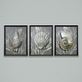 Shell Framed Print Gray Seashell Coastal Wall Art Thumbnail Image