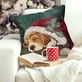 Nap in a Cap Everywear(TM) Indoor Outdoor Christmas Beagle Dog Decorative Pillow by Liora Manne Thumbnail Image