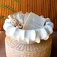 Dahlia Ruffle White Ceramic Decorative Centerpiece Bowl Thumbnail Image