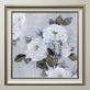Graceful III White Floral Bouquet Flower Blossom Framed Print Wall Art Thumbnail Image