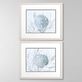 Ocean Beauty Blue and Gray Sand Dollar Seashell Coastal Framed Print Wall Art Set Thumbnail Image