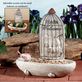 Caged Cat Bird Feeder Thumbnail Image