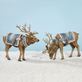Majestic Deer Multi Cool Harness Figure Set by Roman Thumbnail Image