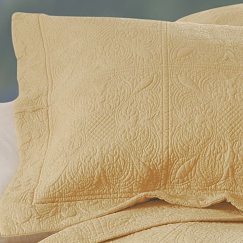 A040-002_Cornsilk.jpg Thumbnail Image