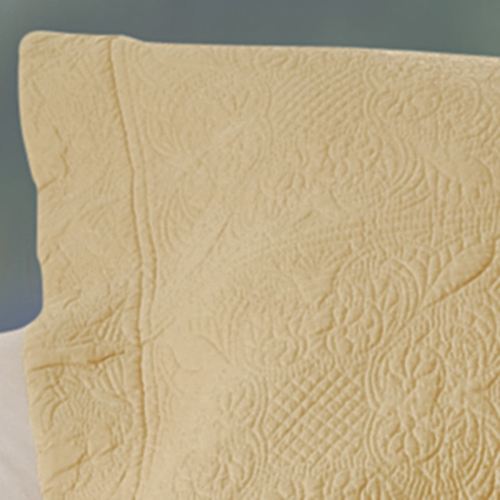 A040-003_Cornsilk.jpg Thumbnail Image