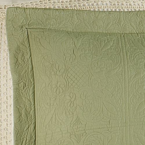 A040-003_Sage.jpg Thumbnail Image