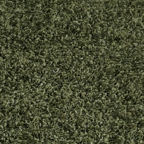 A600-001_Fern.jpg Thumbnail Image