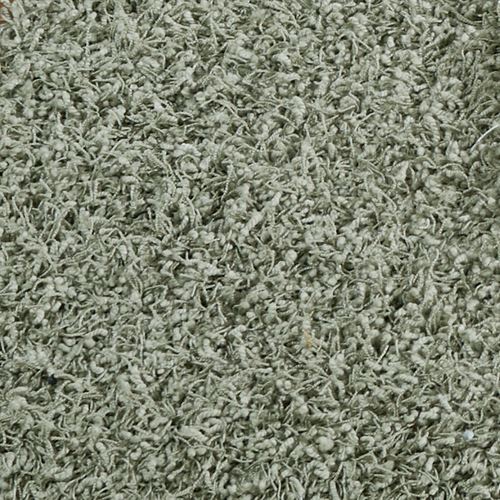 A600-003_Celery.jpg Thumbnail Image