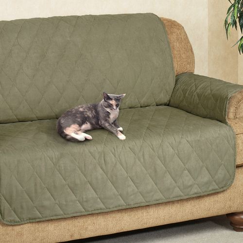 A936-005_Sage.jpg Thumbnail Image