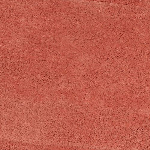 AE72-003_Coral.jpg Thumbnail Image