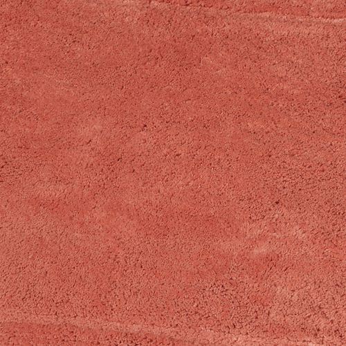 AE72-004_Coral.jpg Thumbnail Image