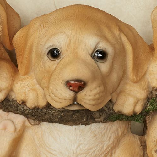 AN16-001_2.jpg Thumbnail Image