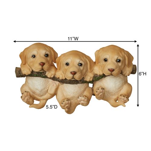 AN16-001_3.jpg Thumbnail Image