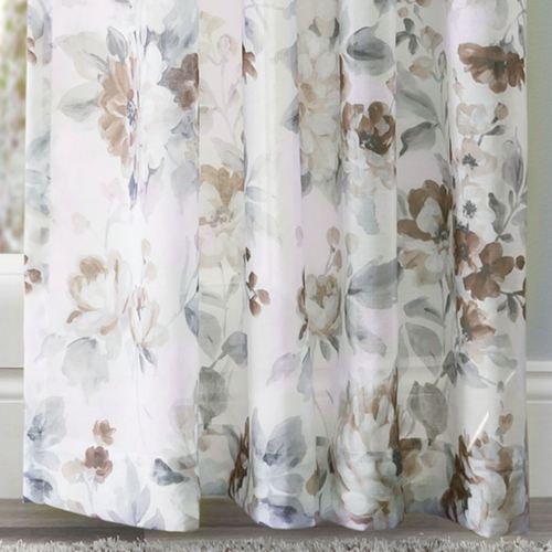 AO65-001_Cocoa.jpg Thumbnail Image