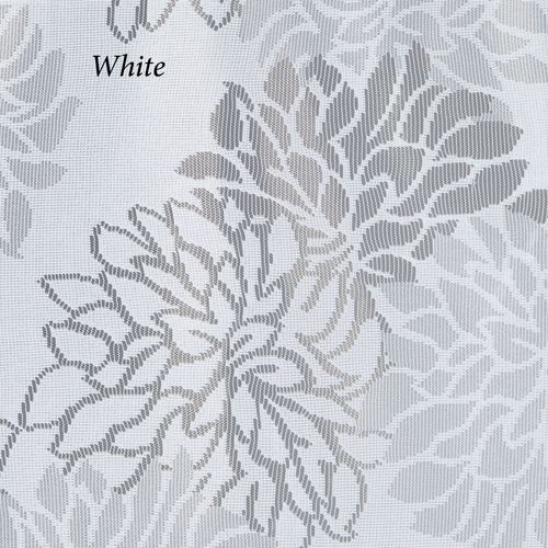 AU47-001_3.jpg Thumbnail Image