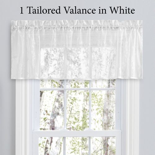 BN77-001_4.jpg Thumbnail Image