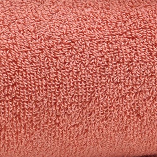 BR61-001_Salmon.jpg Thumbnail Image