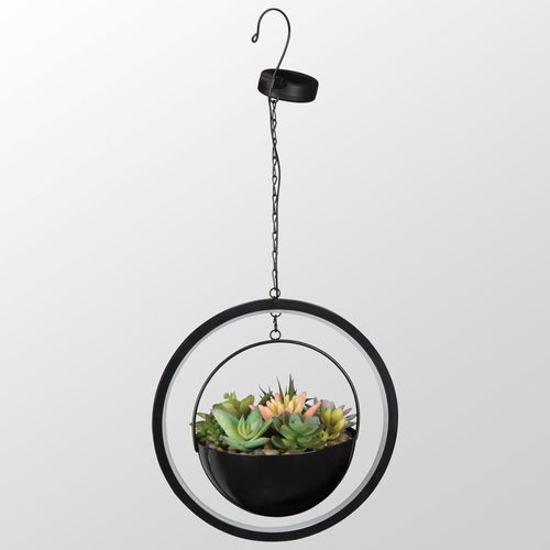 BV09-001_2.jpg Thumbnail Image