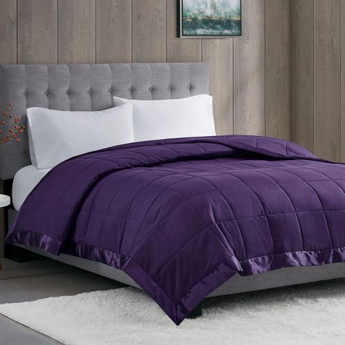 BZ54-001_Purple.jpg Thumbnail Image