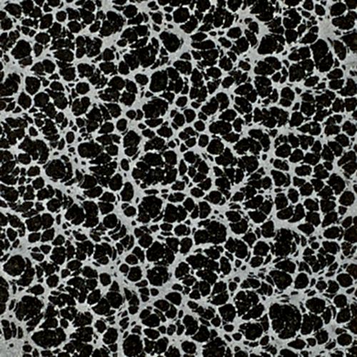 CB15-001_AntiquePewter.jpg Thumbnail Image