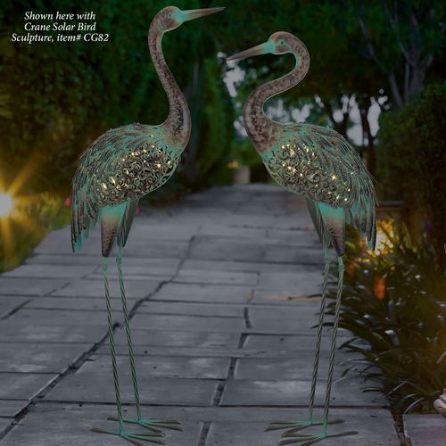 CG81-001_3.jpg Thumbnail Image