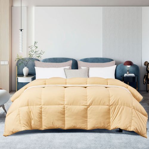 CH56-001_LightGold.jpg Thumbnail Image