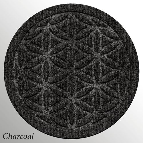 CP25-002_9.jpg Thumbnail Image