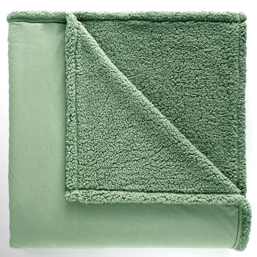 CW37-001_Willow.jpg Thumbnail Image