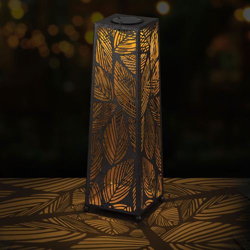 CW50-001_NT.jpg Thumbnail Image