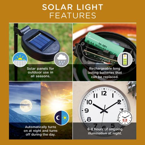 CW75-001_4.jpg Thumbnail Image