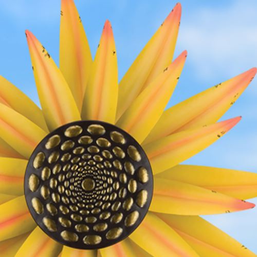 CW78-001_2.jpg Thumbnail Image