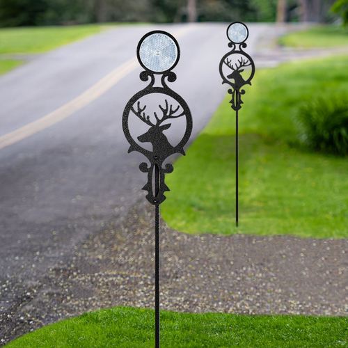 DC31-001_6.jpg Thumbnail Image