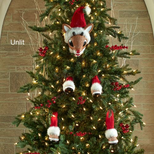 DE71-001_3.jpg Thumbnail Image